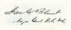 Blunt James Gillpatrick 87210098-100.jpg